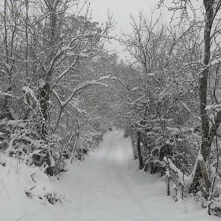 Vakantiehuis Lamadue - Borra