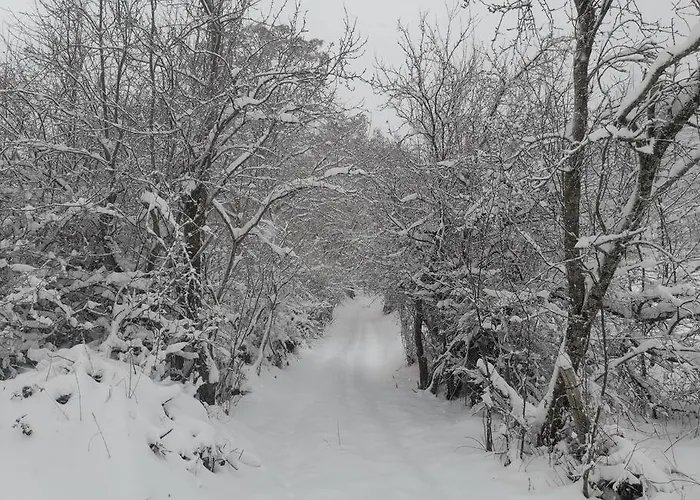 بيت للعطل Lamadue - Borra