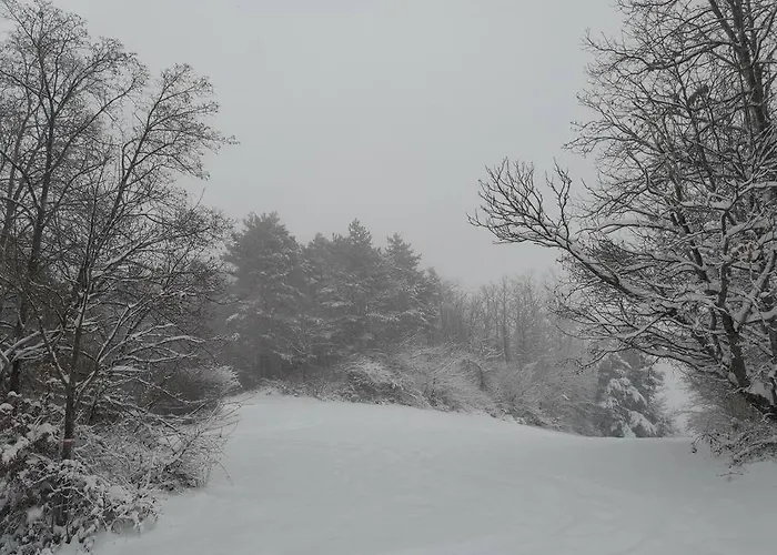 Lamadue - Vakantiehuis